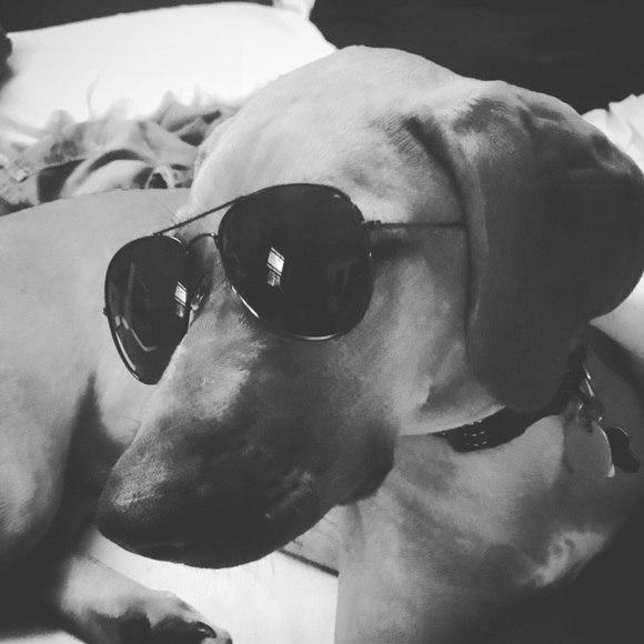 Meet your Posher, Julie - Picture 2 of 2